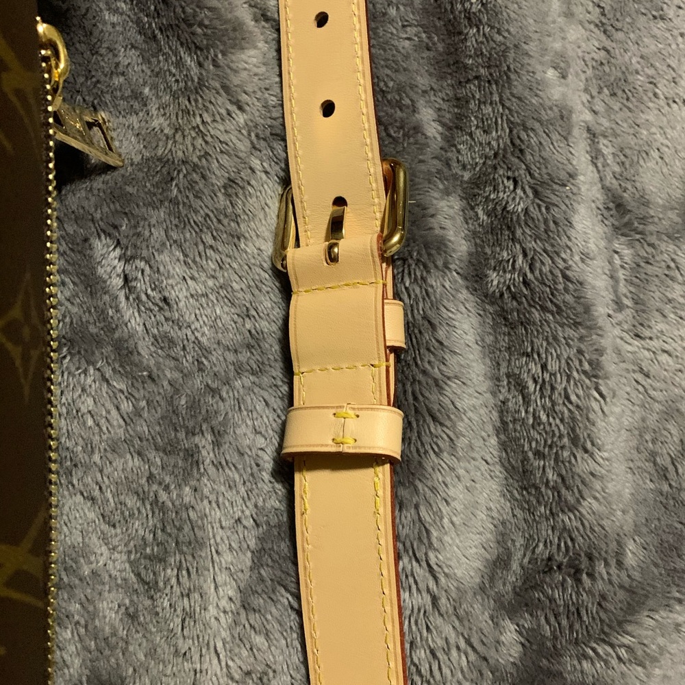 Louis Vuitton Bumbag - Picture 10 of 11